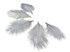 1 Pack - Silver Gray Ostrich Small Confetti Feathers 0.3 Oz