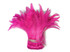 4 Inch Strip - Hot Pink Bleached & Dyed Strung Rooster Schlappen Feathers