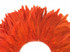 4 Inch Strip - Orange Bleached & Dyed Strung Rooster Schlappen Feathers