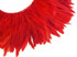 4 Inch Strip - Red Bleached & Dyed Strung Rooster Schlappen Feathers