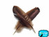 These high quality bronze wild turkey wing feathers can be used for crafts, decor, diy projects, and accessories.