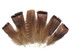 High quality turkey tail feathers. These natural bronze wild turkey feathers  an be used for headpieces, accessories, and  projects.