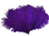 100 Pieces - 6-8" Purple Wholesale Ostrich Drabs Feathers (Bulk)