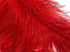 10 Pieces - 18-24" Red Large Prime Grade Ostrich Wing Plume Centerpiece Feathers