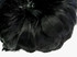 1/4 Lb - 2-3" Black Goose Coquille Loose Wholesale Feathers (Bulk)
