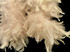 2 Yards - Ivory Heavy Weight Chandelle Feather Boa | 80 Gram