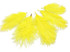  Yellow Ostrich Small Confetti Feathers 0.3 Oz 