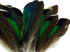 10 Pieces - Iridescent Green Mallard Duck Wing Feathers