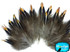 Natural Jungle Cock Tip Body Feathers 