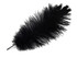 100 Pieces - 11-13" Black Ostrich Drabs Wholesale Body Feathers (Bulk)