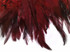 1 Yard - Burgundy Rooster Neck Hackle Saddle Feather Wholesale Trim