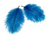 Wholesale Pack - Turquoise Blue Ostrich Small Confetti Feathers (Bulk)