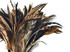 Wholesale Pack - 8-10" Natural Brown Chinchilla Mix Coque Tail Strung Rooster Feathers 2 Oz. (Bulk)