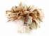 1 Yard - Natural Beige Strung Rooster Schlappen Wholesale Feathers (Bulk)