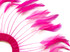 1 Piece - Hot Pink Half Beaded Pinwheel Stripped Rooster Hackle Feather Pads