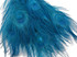 50 Pieces - 30-35" Turquoise Blue Bleached & Dyed Peacock Tail Eye Wholesale Feathers (Bulk) 