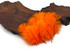 Wholesale Pack - Orange Ostrich Small Confetti Feathers (Bulk)