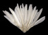 1 Pack - White Duck Primary Wing Pointer Feathers 0.50 Oz.