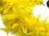 2 Yards - Yellow Heavy Weight Chandelle Feather Boa | 80 Gram