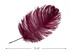 10 Pieces -  12-16" Burgundy Dyed Ostrich Tail Fancy Feathers