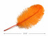 1/2 Lb - 12-16" Orange Ostrich Tail Wholesale Fancy Feathers (Bulk)