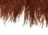 6 Inch Strip - Brown Ostrich Fringe Trim Feather