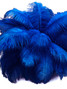 10 Pieces - 17-19" Royal Blue Large Bleached & Dyed Ostrich Drabs Body Feathers