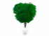 10 Pieces - 8-10" Kelly Green Ostrich Dyed Drabs Feathers