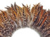  4 Inch Strip - Red Chinchilla Strung Rooster Neck Hackle Feathers