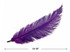 20 Pieces - Purple Mini Spads Ostrich Chick Body Feathers