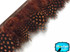 Brown Guinea Hen Plumage Feather Trim