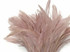 1/2 Yard - 8-10" Taupe Strung Natural Bleach & Dyed Rooster Coque Tail Wholesale Feathers (Bulk)