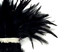 1 Yard - 4-6" Black Strung Chinese Rooster Saddle Wholesale Feathers (Bulk)