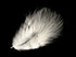 1 Pack - White Turkey Marabou Short Down Fluff Loose Feathers 0.10 Oz.