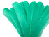 6 Pieces - Aqua Green Turkey Rounds Secondary Wing Quill Feathers