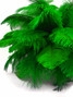 10 Pieces - 19-24" Kelly Green Ostrich Dyed Drabs Body Feathers