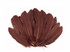 1/4 Lb - Brown Goose Satinettes Wholesale Loose Feathers (Bulk)