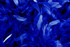 1 Yard - Royal Blue Chandelle Turkey Fluffy Feather Trim