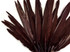 1/4 Lbs - Brown Duck Pointer Primary Wing Wholesale Feathers (Bulk)