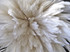 4 Inch Strip – 6-7” Natural White Strung Chinese Rooster Saddle Feathers