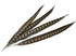 Tall brown striped craft feathers