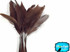 1 Yard - Brown Stripped Coque Tail Feathers Wholesale (Bulk) 
