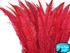  Red Long Ostrich Nandu Trimmed Feathers