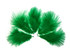 1 Pack - Kelly Green Turkey Marabou Short Down Fluff Loose Feathers 0.10 Oz.
