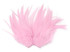 1 Yard – 4-6” Dyed Light Pink Strung Chinese Rooster Saddle Wholesale Feathers (Bulk)