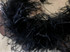 2 Yards - Black 2 Ply Ostrich Medium Weight Fluffy Feather Boa