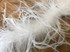 2 Yards - Snow White 2 Ply Ostrich Medium Weight Fluffy Feather Boa