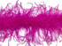 2 Yards - Hot Pink 2 Ply Ostrich Medium Weight Fluffy Feather Boa