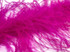 2 Yards - Hot Pink 2 Ply Ostrich Medium Weight Fluffy Feather Boa