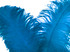 10 Pieces - 18-24" Turquoise Blue Large Prime Grade Ostrich Wing Plume Centerpiece Feathers